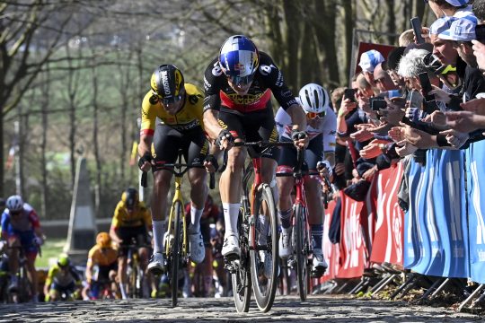 Wout van Aert bei Gent-Wevelgem am 27. März (Bild: Dirk Waem/Belga)