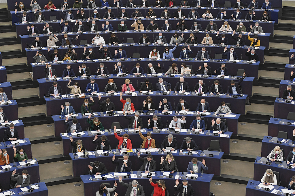 Abstimmung im EU-Parlament (Illustrationsbild: Frederick Florin/AFP)