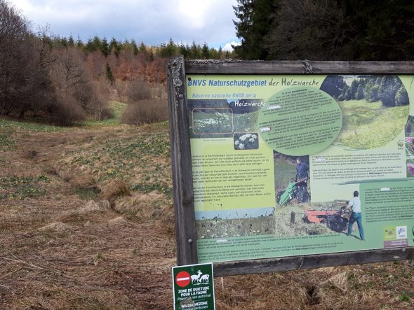 Narzissenfest im Holzwarchetal (Bild: Harald Brück)