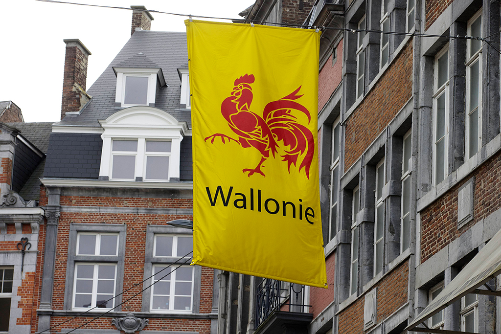 Wallonische Flagge (Illustrationsbild: Nicolas Maeterlinck/Belga)