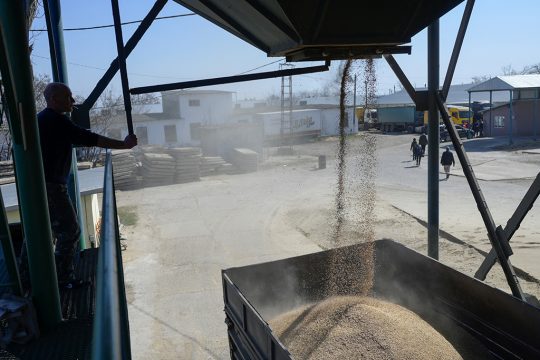 Landwirt füllt Weizen ab in Ismail im Süden der Ukraine Ende März (Bild: Bulent Kilic/AFP)