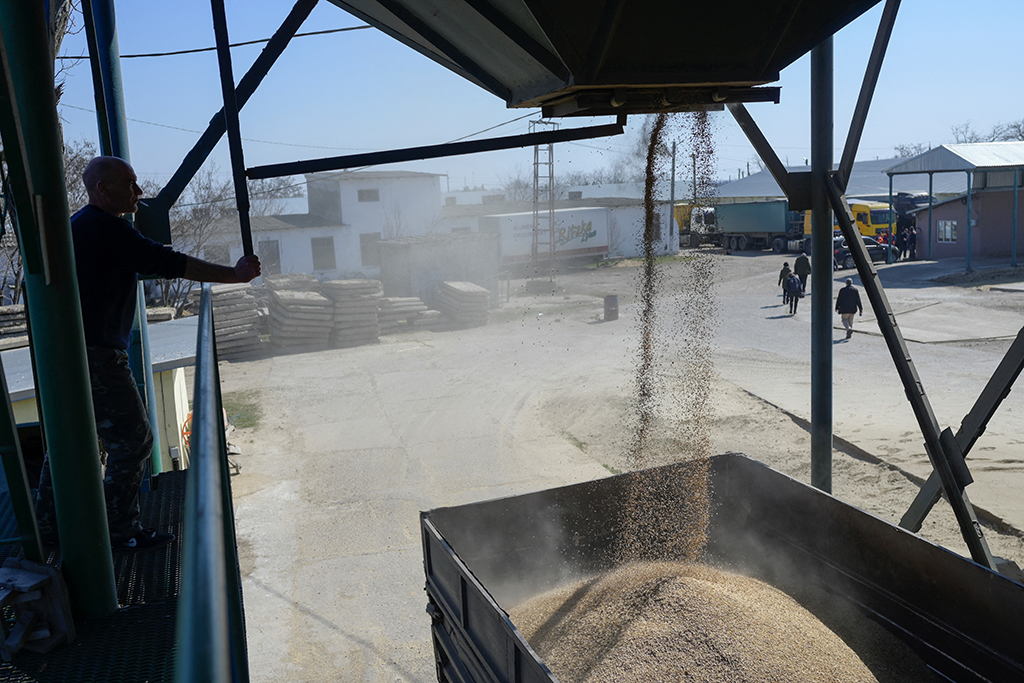 Landwirt füllt Weizen ab in Ismail im Süden der Ukraine Ende März (Bild: Bulent Kilic/AFP)