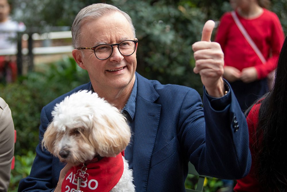 Anthony Albanese am Sonntag in Sydney (Bild: Wendell Teodoro/AFP)