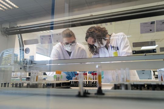 Analyse von Blutproben im Labor