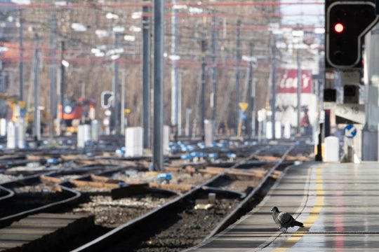 Streik - Leere Gleise im Bahnhof Brüssel-Midi