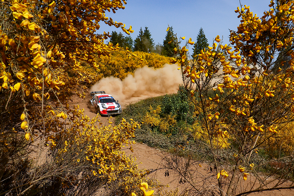 Elfyn Evans/Scott Martin übernehmen in Portugal das Kommando (Bild: Toyota Gazoo Racing WRT)