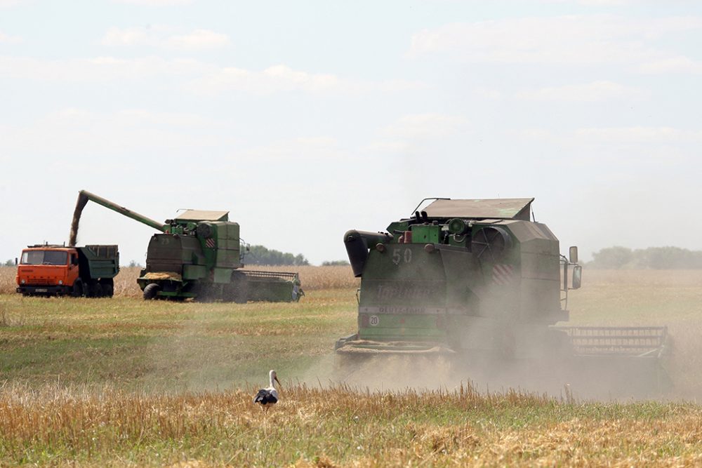 Die Ukraine galt als "Kornkammer Europas" (Archivbild: Genya Savilov/AFP)