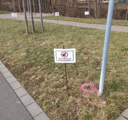In der deutschen Grenzgemeinde Hellenthal hat Bürgermeister Rudolf Westerburg die Pflegearbeiten an öffentlichen Grünflächen und Beeten einstellen lassen (Bild: Gemeinde Hellenthal)