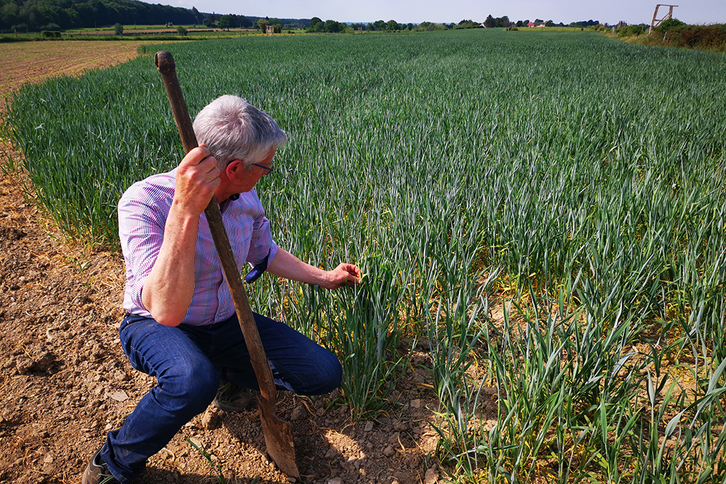 Landwirt Roger Croé (Bild: Raffaela Schaus/BRF)