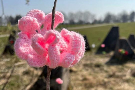 Häkel-Rosen für den Westwall (Bild: Caroline Lauscher)