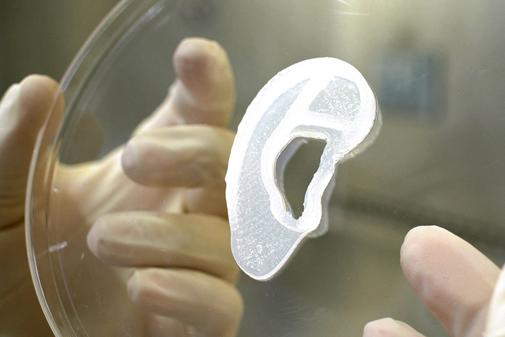 Ohr aus dem 3D-Drucker (Illustrationsbild: Handout/3D Therapeutics/AFP)