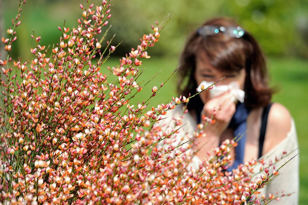 Allergie (Bild: Philippe Huguen/AFP)