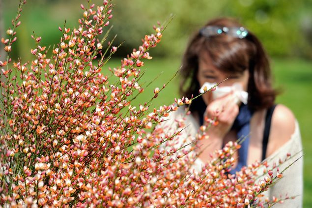 Allergie (Bild: Philippe Huguen/AFP)