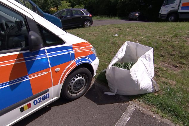Cannabis-Plantage in Hauset entdeckt