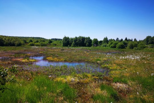 Bild: Raffaela Schaus/BRF