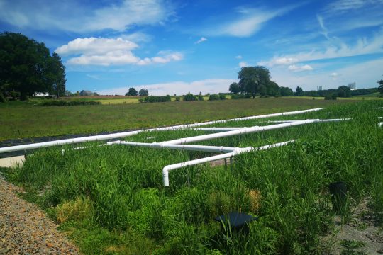 Bild: Raffaela Schaus/BRF