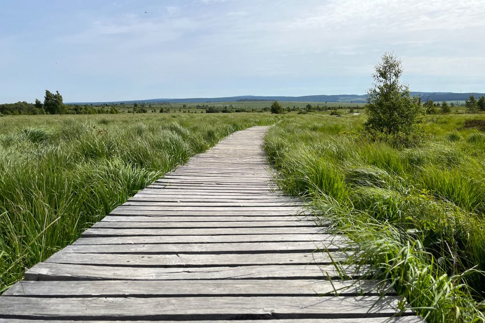 Bild: Robin Emonts/BRF