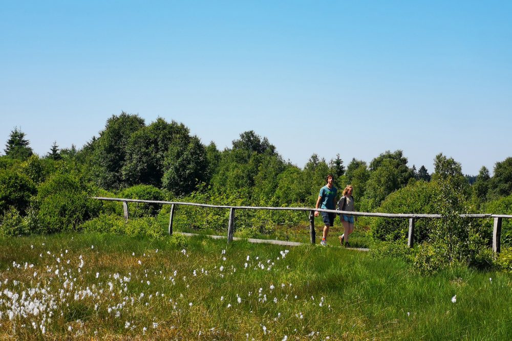 Spaziergänger im Hohen Venn (Bild: Raffaela Schaus/BRF)