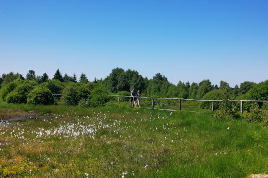 Bild: Raffaela Schaus/BRF