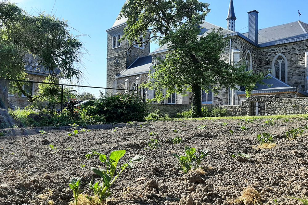 Gemeinschaftsgarten des Projekts "Weniger ist mehr" in Hauset (Bild: Andreas Lejeune/BRF)