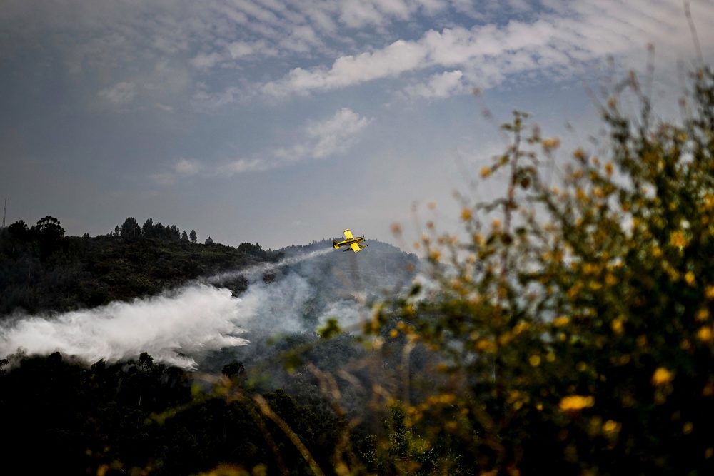 Löscharbeiten in Amarante, Portugal (Bild: Patricia De Mela Moreira/AFP, 16.7.)