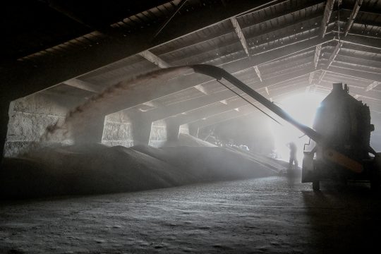 Getreidelage in der Ukraine