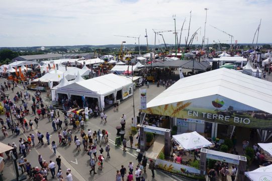 Landwirtschaftsmesse von Libramont 2022 (Bild: Stephan Pesch/BRF)