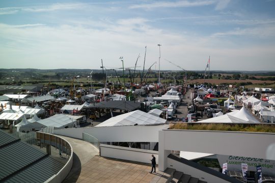 Landwirtschaftsmesse von Libramont 2022 (Bild: Anthony Dehez/Belga)