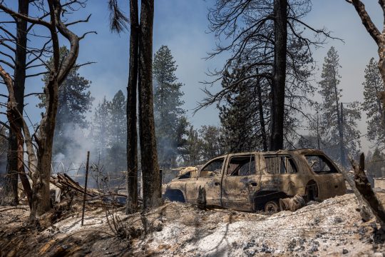 Waldbrand nahe US-Nationalpark Yosemite