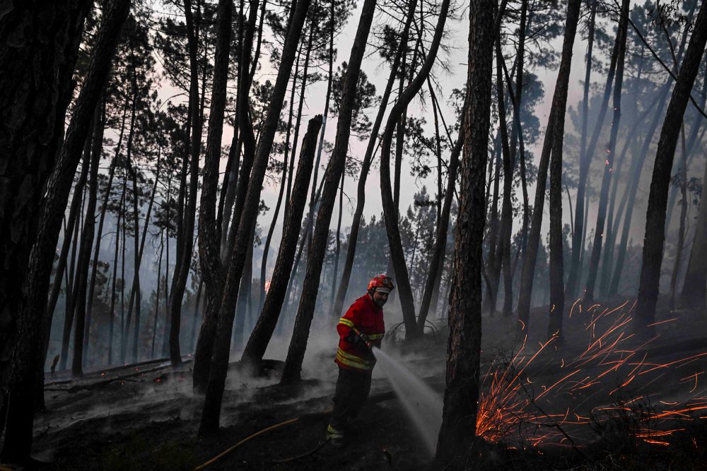 Waldbrände in Portugal (Bild: Patricia De Melo Moreira/AFP)