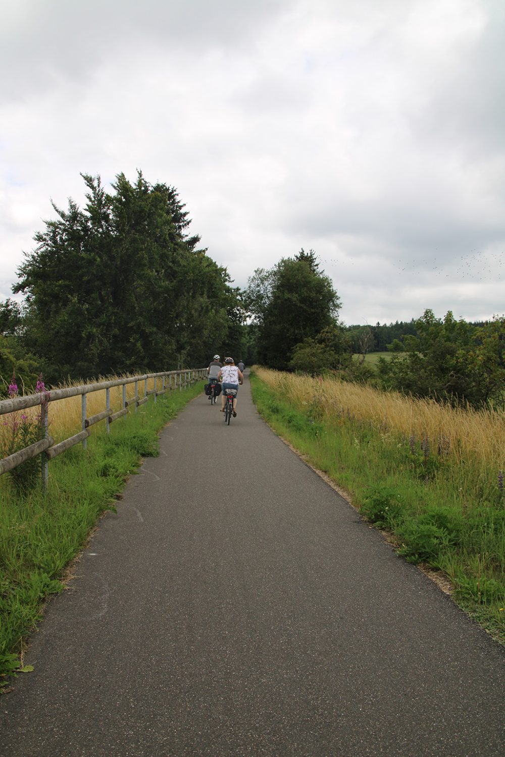 Radaktionstag auf dem Kyllradweg (Bild: Lindsay Ahn/BRF)