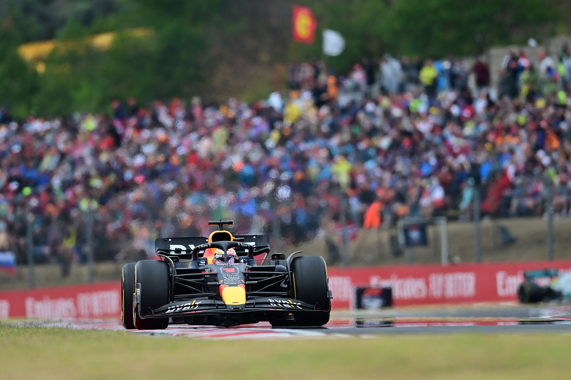 Max Verstappen beim Großen Preis von Ungarn (Bild: Jure Makovec/AFP)