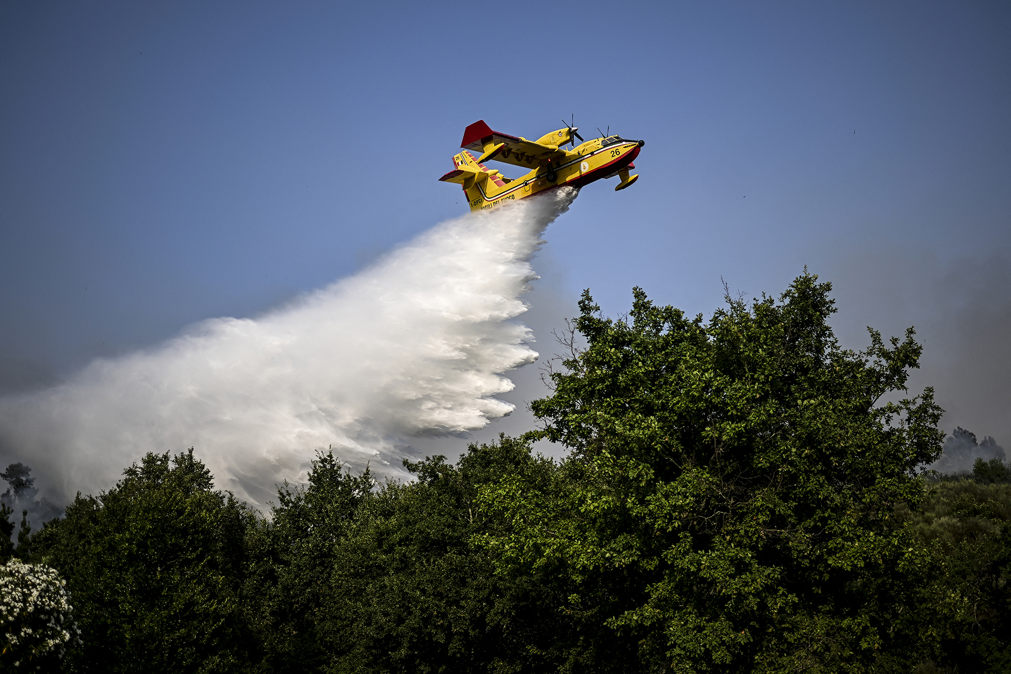 Ein Löschflugzeug über einem Waldstück in der Nähe des portugiesischen Dorfs Eiriz (Bild: Patricia De Melo Moreira/AFP)