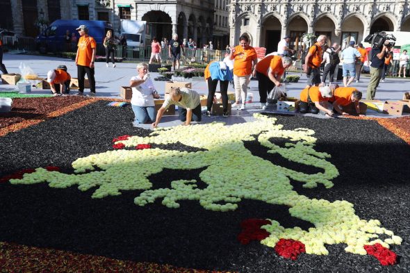Rund hundert Freiwillige haben den traditionellen Blumenteppich angelegt (Bild: Nicolas Maeterlinck/Belga)