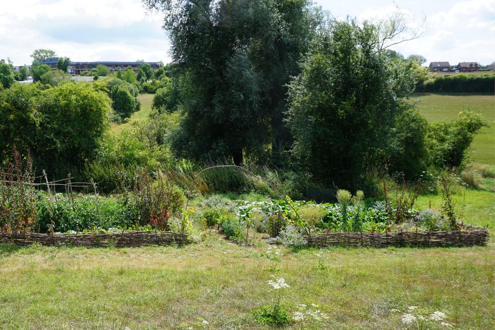 Gemüsegarten von Intego hinter dem Alten Schlachthof Eupen BRF