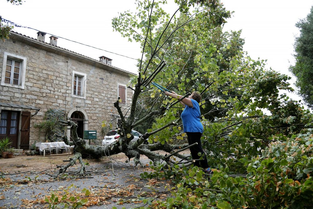 Der Sturm hat auf Korsika auch Bäume entwurzelt (Bild: Pascal Pochard-Casabianca/AFP)