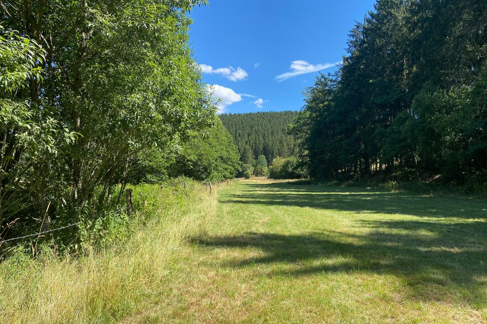 Simone und Elena Theissen haben die schönste Wiese der Wallonie in Medendorf bei Manderfeld (Bild: Simonne Doepgen/BRF)