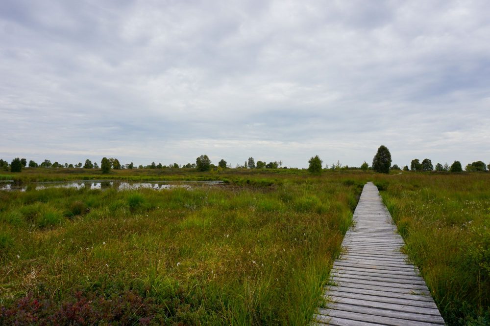 Naturschutzgebiet Hohes Venn