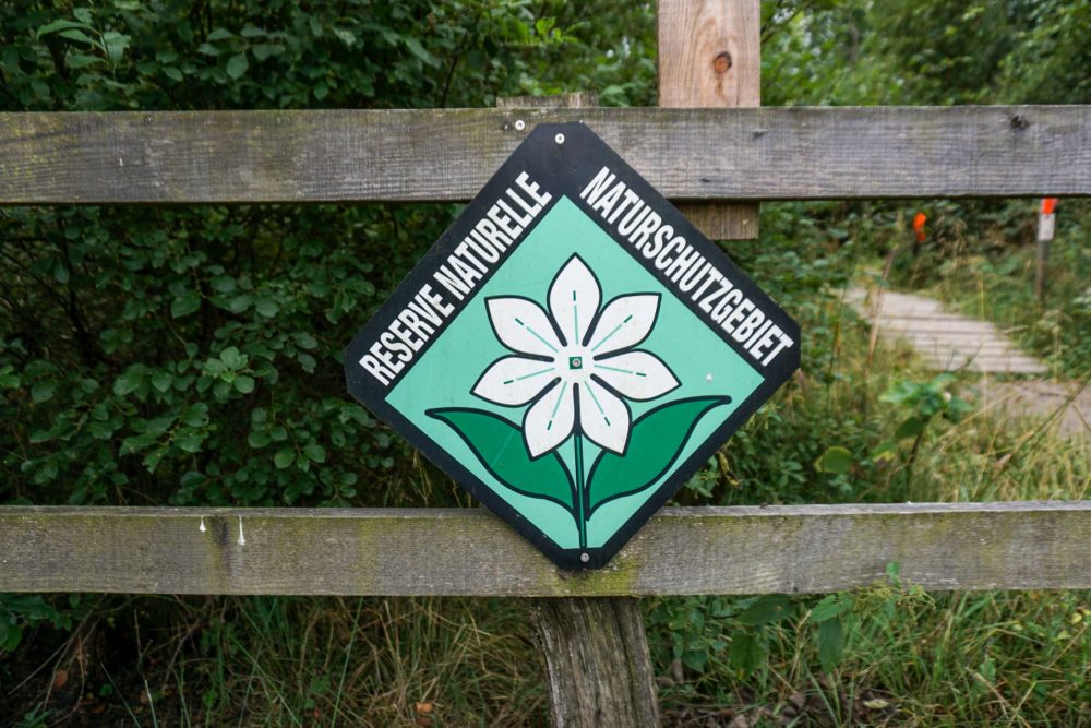 Naturschutzgebiet Hohes Venn (Bild: Dogan Malicki/BRF)