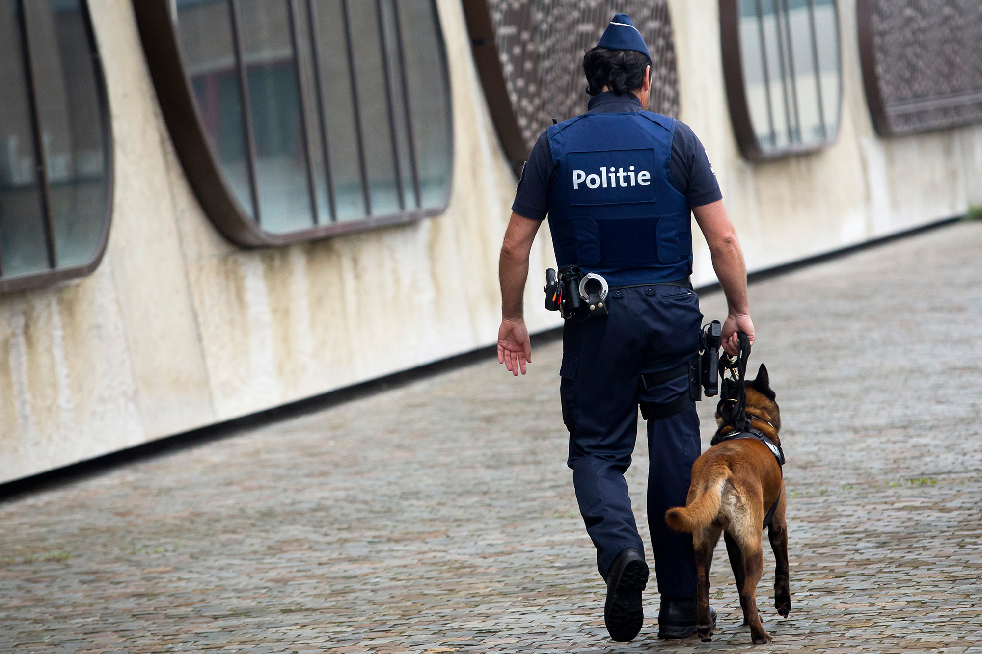 Polizist mit Drogenspürhund (Illustrationsbild: Kristof Van Accom/Belga)