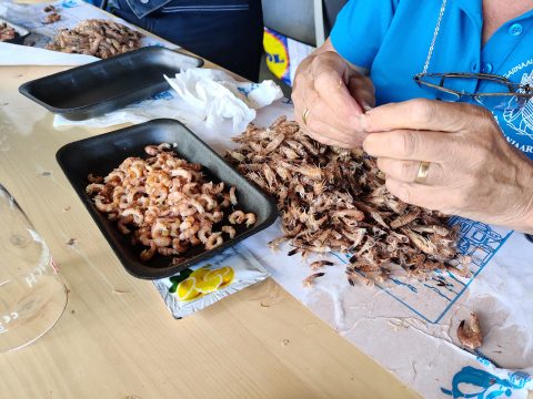 Graue Crevetten-Garnelen