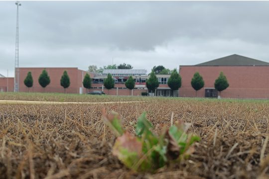 Sportzentrum am Stockbergerweg in Eupen (Bild: Christophe Ramjoie/BRF)