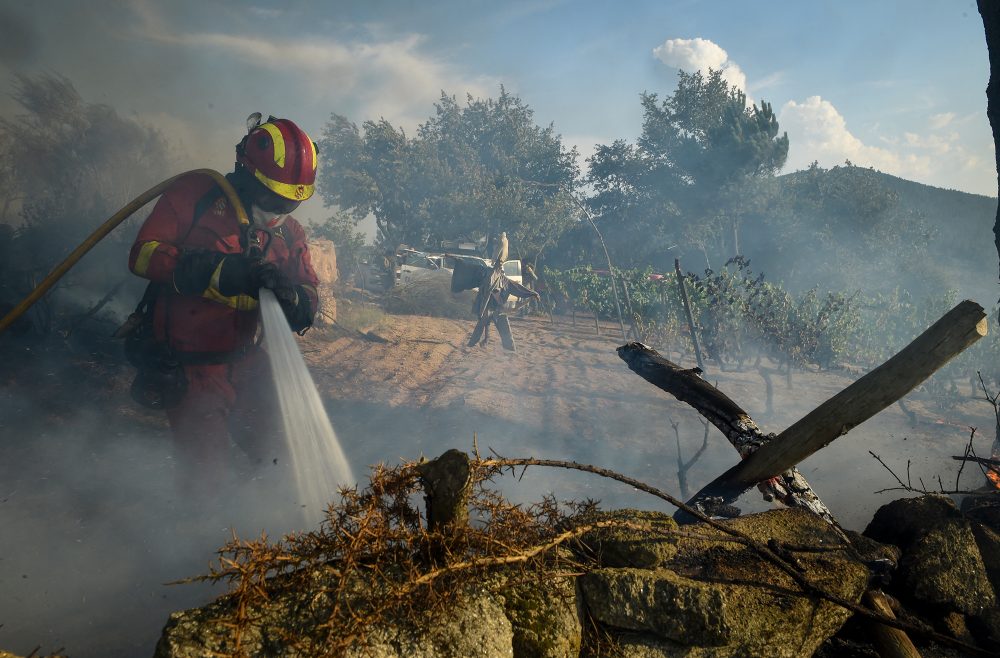 Waldbrand in Spanien (Archivbild: Miguel Riopa/AFP)