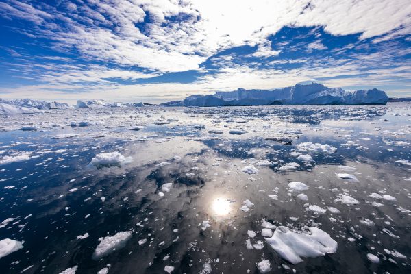 Eisberge in der Diskobucht vor Westgrönland (Bild: Odd Andersen/AFP)
