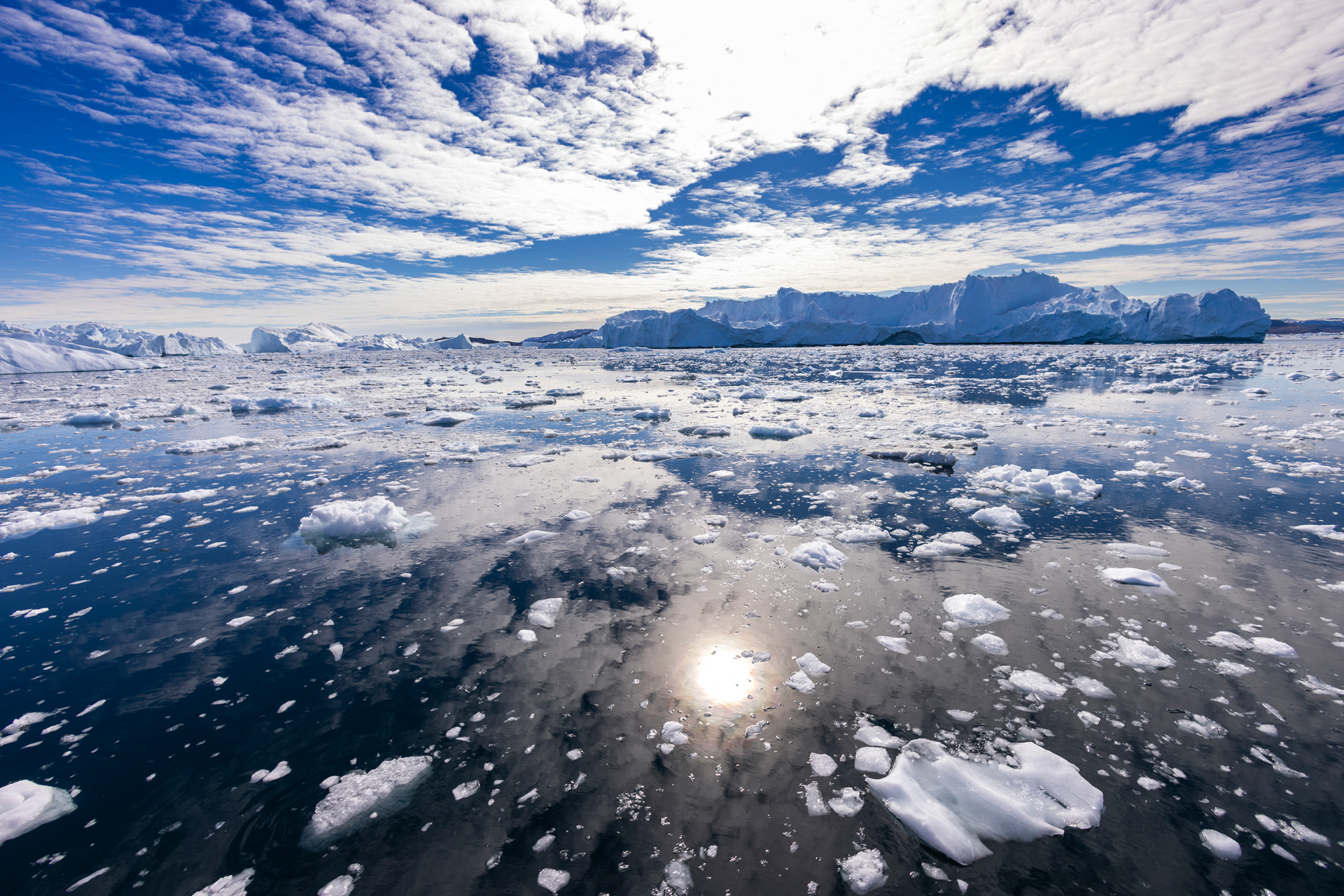 Eisberge in der Diskobucht vor Westgrönland (Bild: Odd Andersen/AFP)