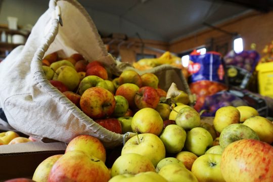 Apfelspendenaktion von Natagora BNVS ein voller Erfolg (Bild: Dogan Malicki/BRF)