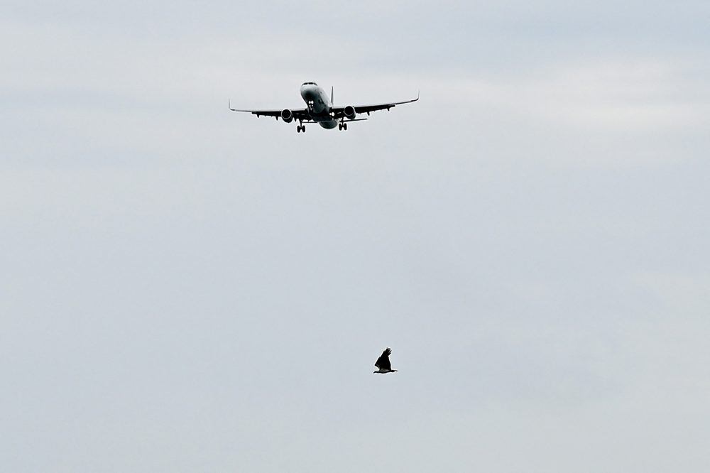 Flugzeug beim Landeanflug in Singapur