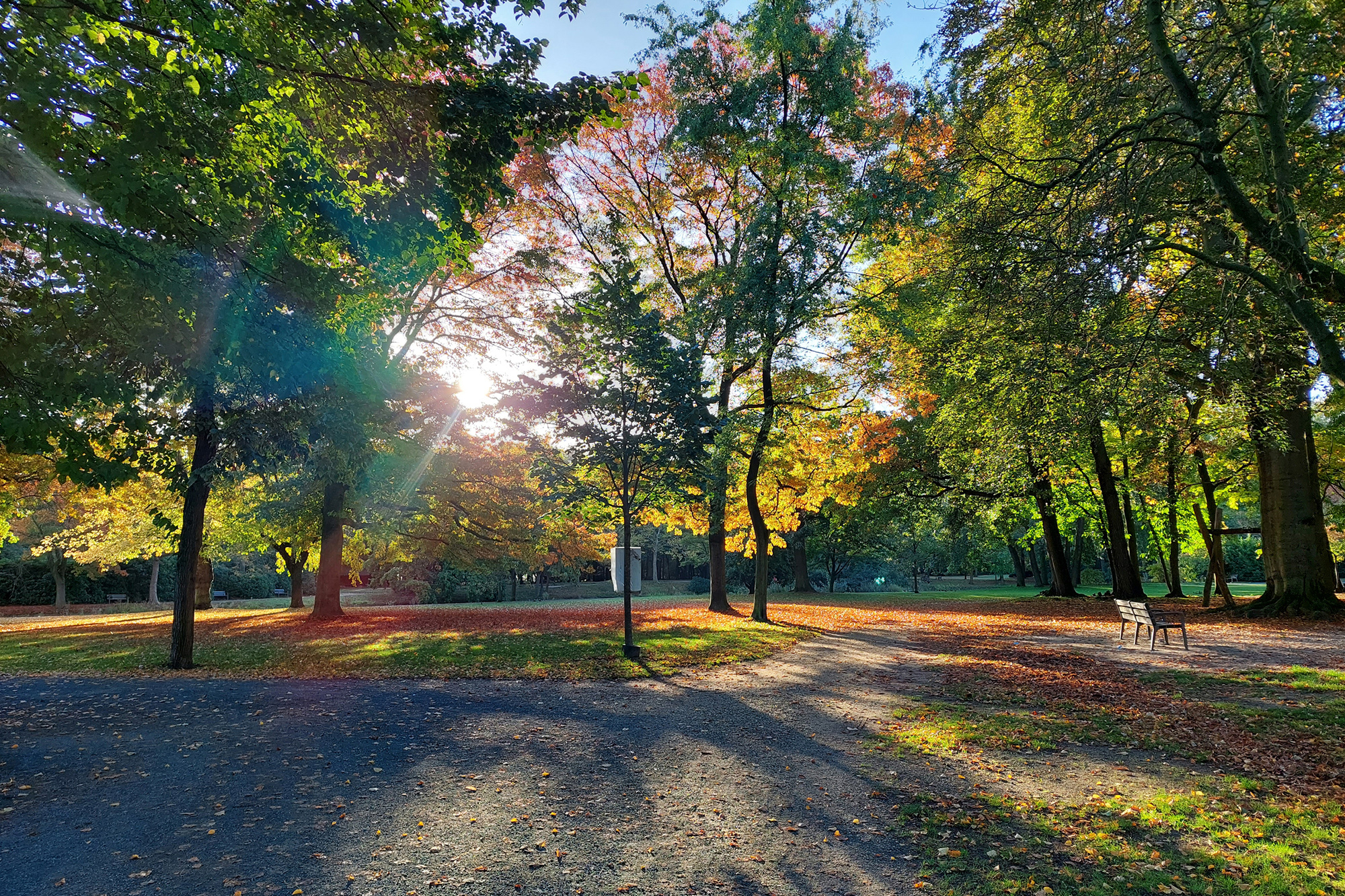 Sonniges Herbstwetter im Park