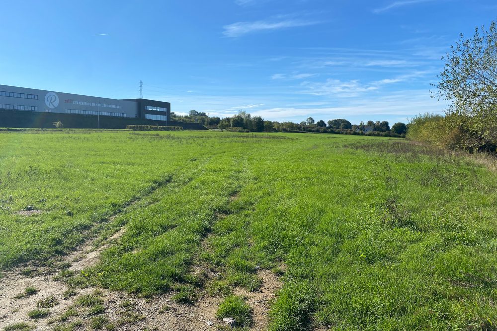 Auf diesem Gelände in Baelen soll die geplante Lachsfarm entstehen - wenn denn die Genehmigung erteilt wird (Bild: Simonne Doepgen/BRF)