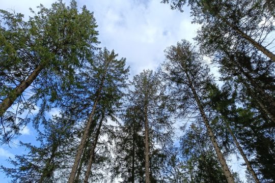 Bild: Andreas Lejeune/BRF